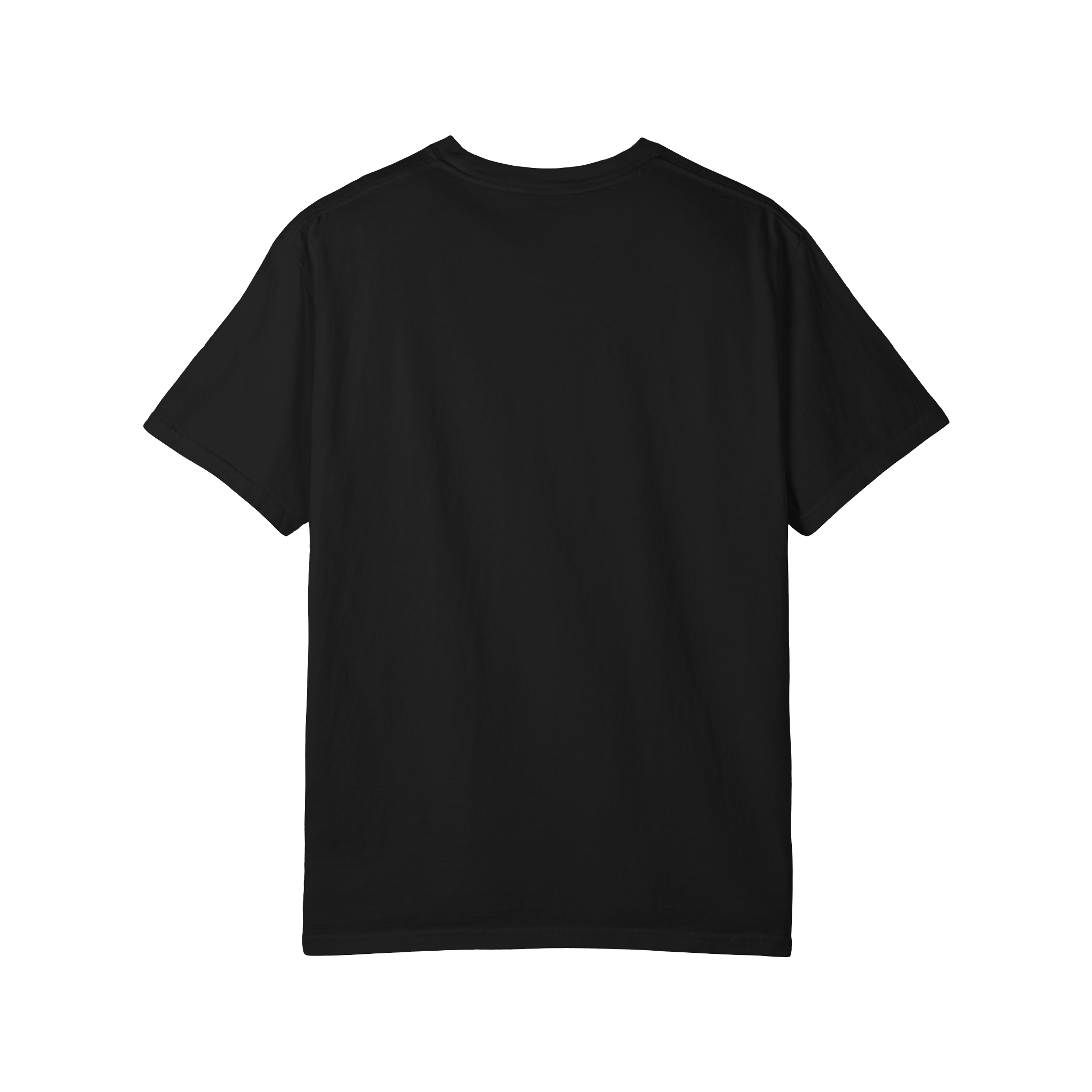 Flash Penguin Tee