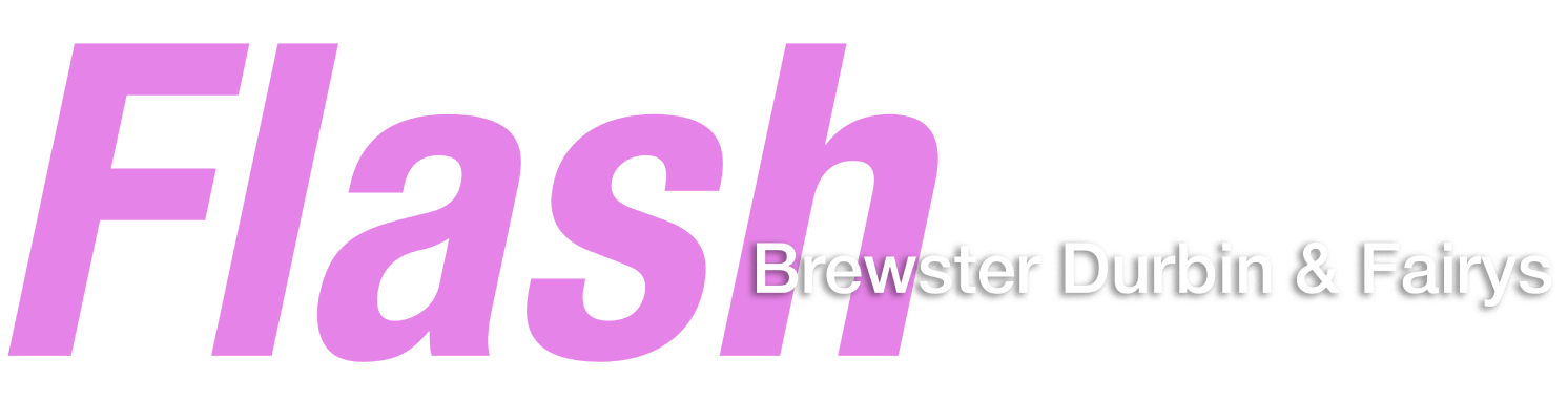 Flash Store